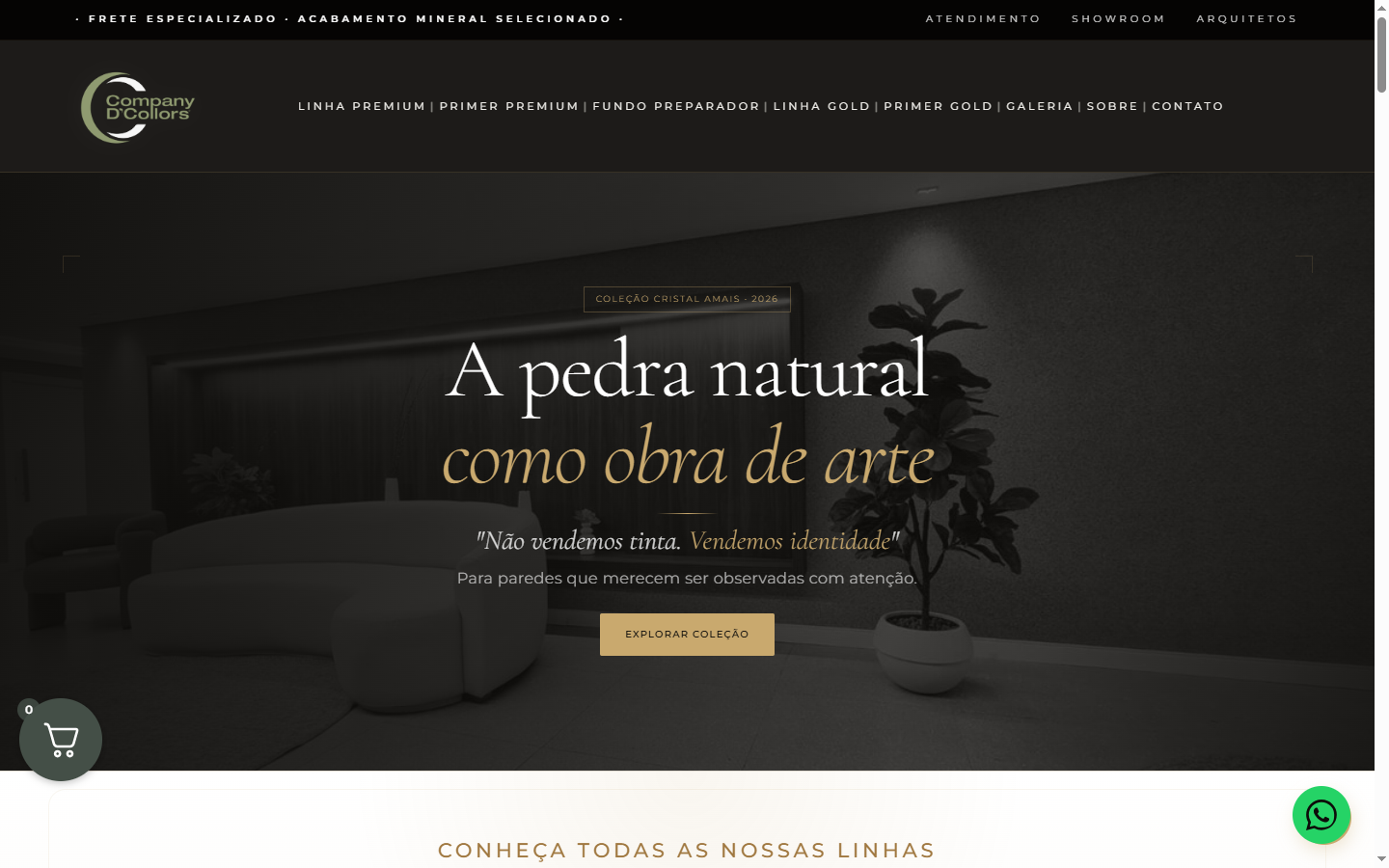 Mockup do site Company DCollors
